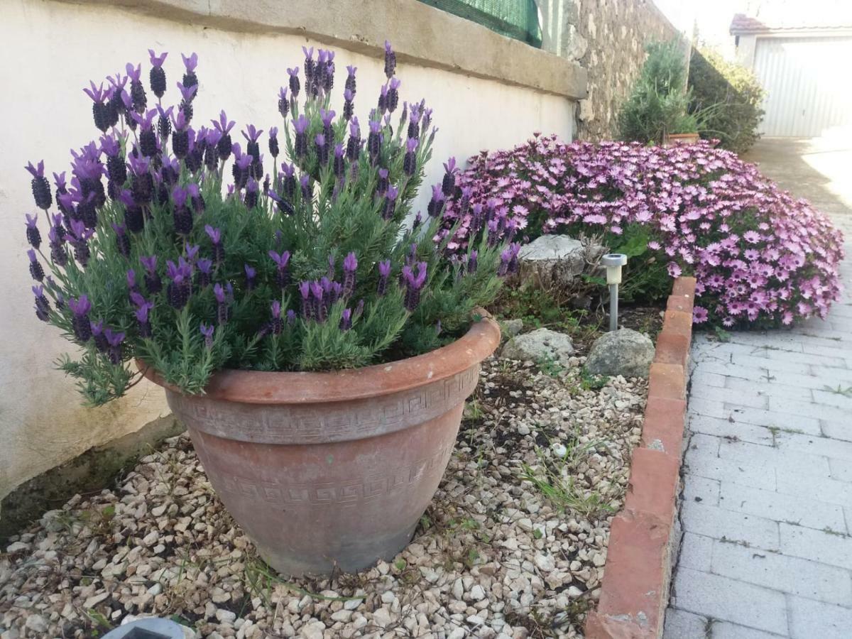 Il Vaso Di Creta Bed and Breakfast Ragusa Buitenkant foto